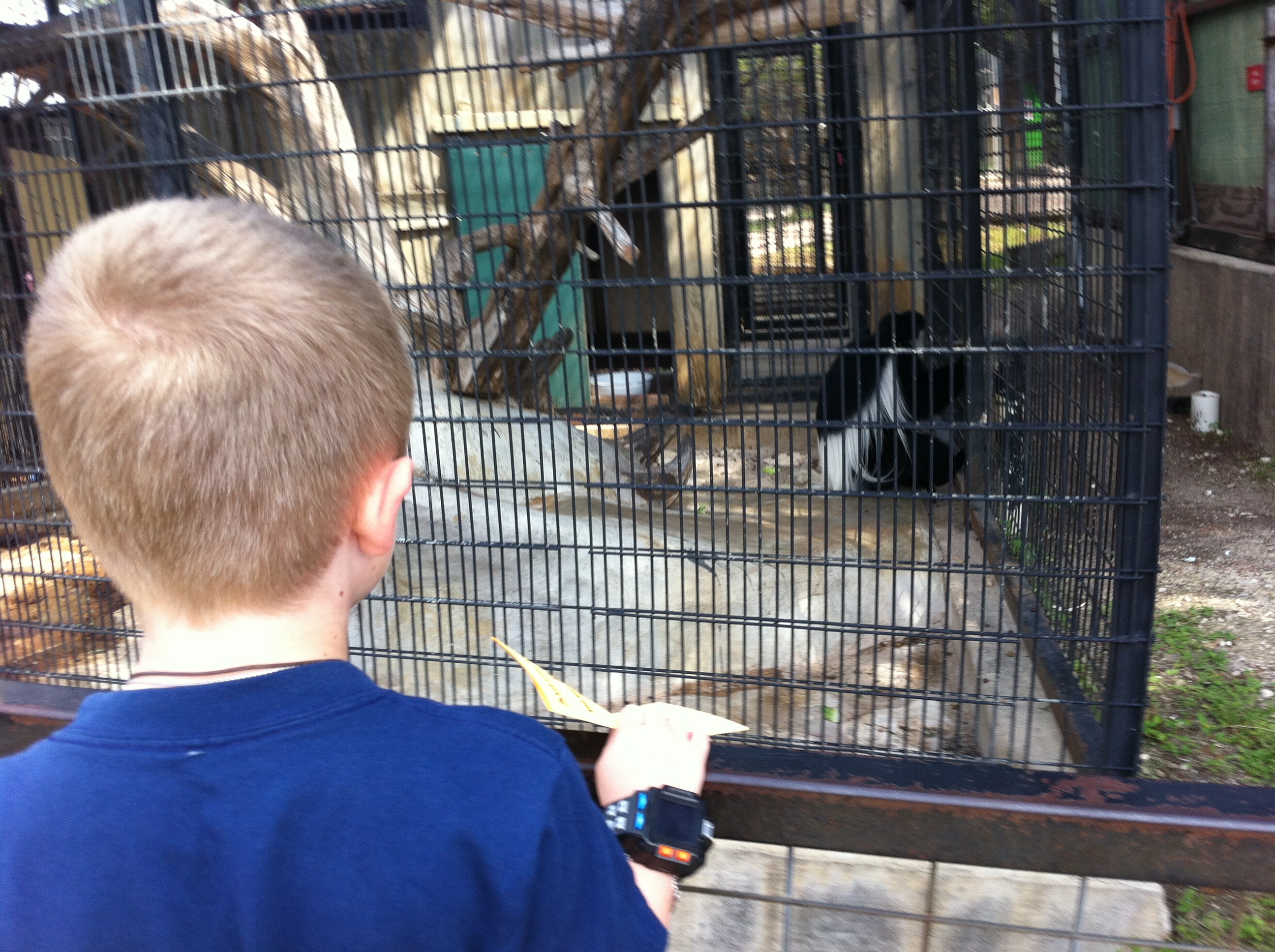2012-04-09-02-Austin Zoo with Ian.jpg